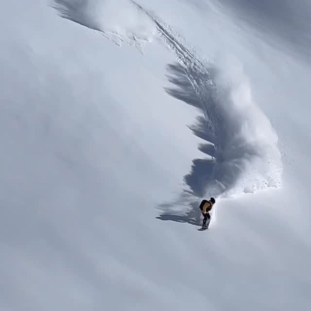 Solid 15 run day ⛷🏂